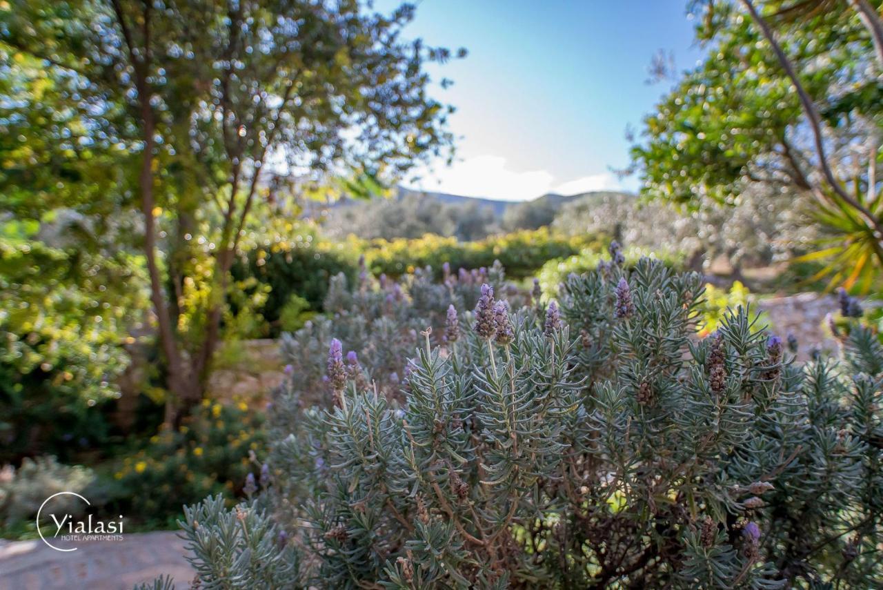 Epidaurus Yialasi Hotel מראה חיצוני תמונה