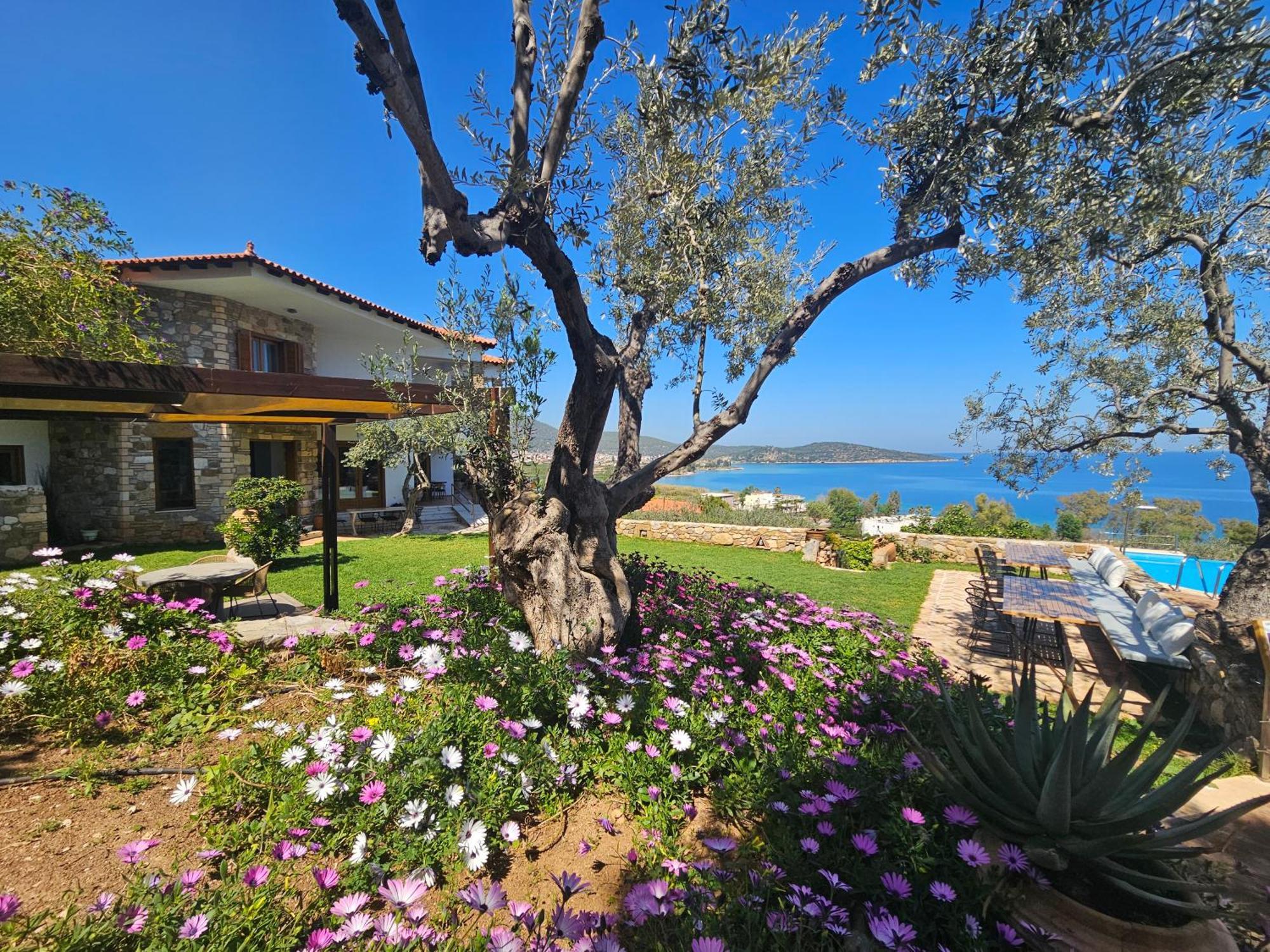 Epidaurus Yialasi Hotel מראה חיצוני תמונה